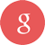 Google Icon
